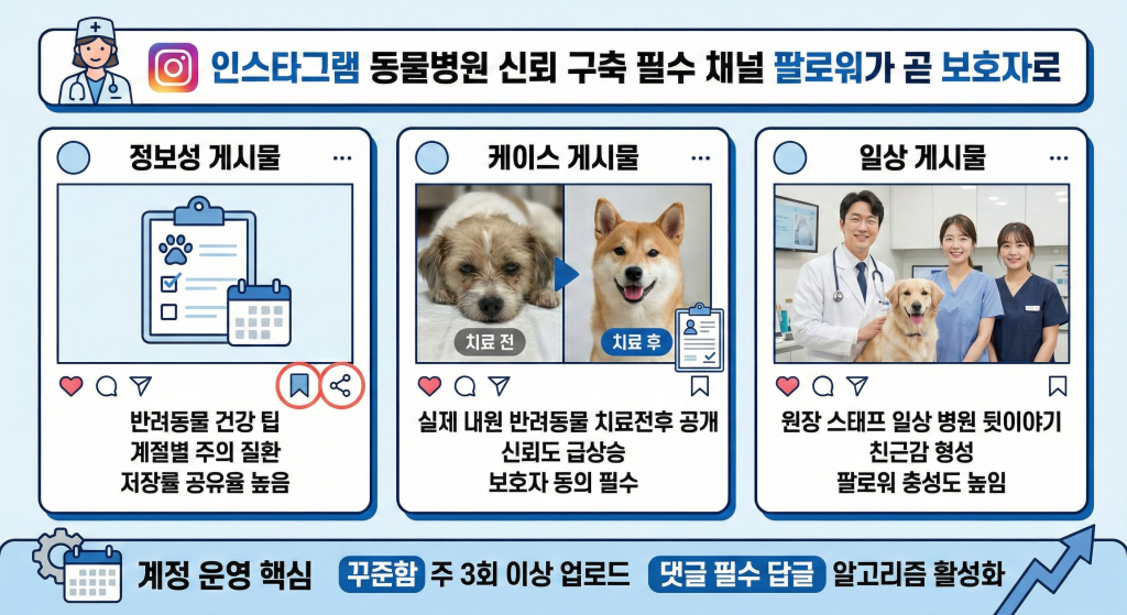 동물병원 마케팅 인스타그램 신규 환자 유치 방법